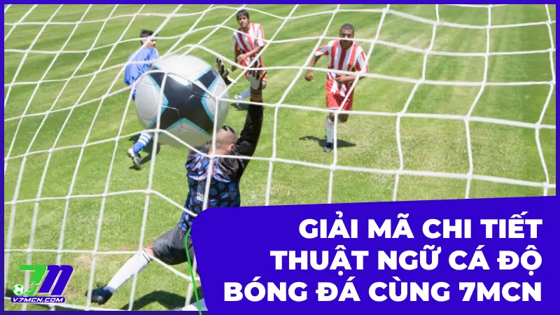 Giải Mã Chi Tiết Thuật Ngữ Cá Độ Bóng Đá Cùng 7MCN